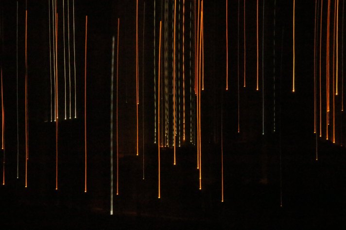 francisco-gomes-182329-unsplash